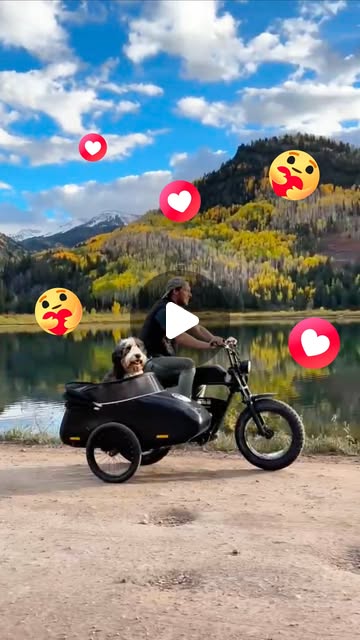 Facebook on Instagram: "I don’t go anywhere without my co-star. We’re a franchiseVideo by @lilmanlife Music by Diky Yan"